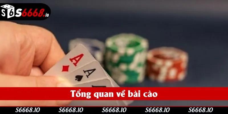 Tổng quan về bài cào