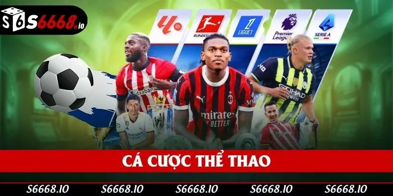 Thể thao là bộ môn được săn đón nhất năm 2025 Thể thao là bộ môn được săn đón nhất năm 2025